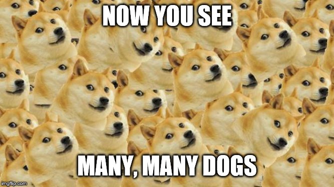 Multi Doge Meme | NOW YOU SEE MANY, MANY DOGS | image tagged in memes,multi doge | made w/ Imgflip meme maker