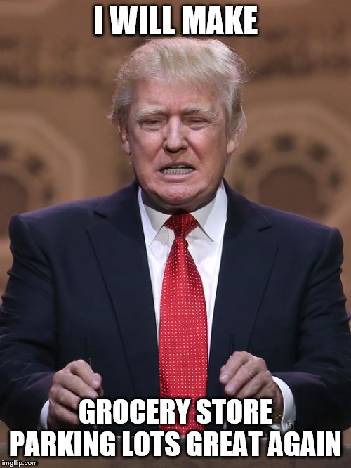 Donald Trump | I WILL MAKE; GROCERY STORE PARKING LOTS GREAT AGAIN | image tagged in donald trump | made w/ Imgflip meme maker