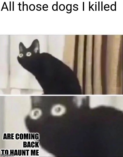Oh No Black Cat | All those dogs I killed ARE COMING BACK TO HAUNT ME | image tagged in oh no black cat | made w/ Imgflip meme maker