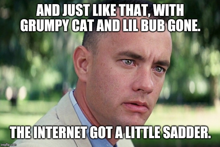 And Just Like That | AND JUST LIKE THAT, WITH GRUMPY CAT AND LIL BUB GONE. THE INTERNET GOT A LITTLE SADDER. | image tagged in memes,and just like that,cats,grumpy cat | made w/ Imgflip meme maker