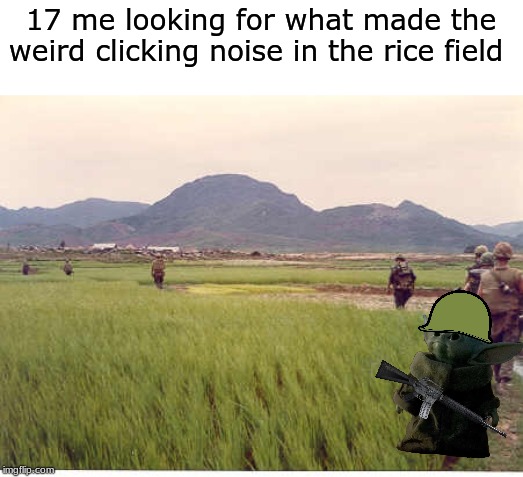 Nam | 17 me looking for what made the weird clicking noise in the rice field | image tagged in nam | made w/ Imgflip meme maker