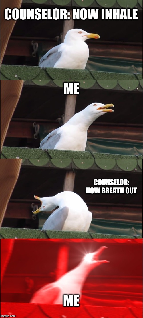 Inhaling Seagull | COUNSELOR: NOW INHALE; ME; COUNSELOR: NOW BREATH OUT; ME | image tagged in memes,inhaling seagull | made w/ Imgflip meme maker