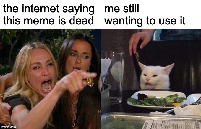 Woman Yelling At Cat | the internet saying this meme is dead; me still wanting to use it | image tagged in memes,woman yelling at cat | made w/ Imgflip meme maker