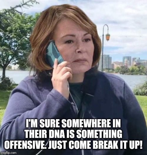 BBQ Roseanne | I'M SURE SOMEWHERE IN THEIR DNA IS SOMETHING OFFENSIVE. JUST COME BREAK IT UP! | image tagged in bbq roseanne | made w/ Imgflip meme maker