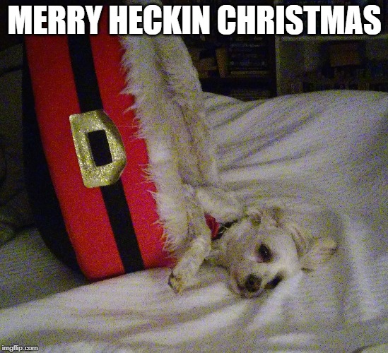 Windrose | MERRY HECKIN CHRISTMAS | image tagged in windrose | made w/ Imgflip meme maker