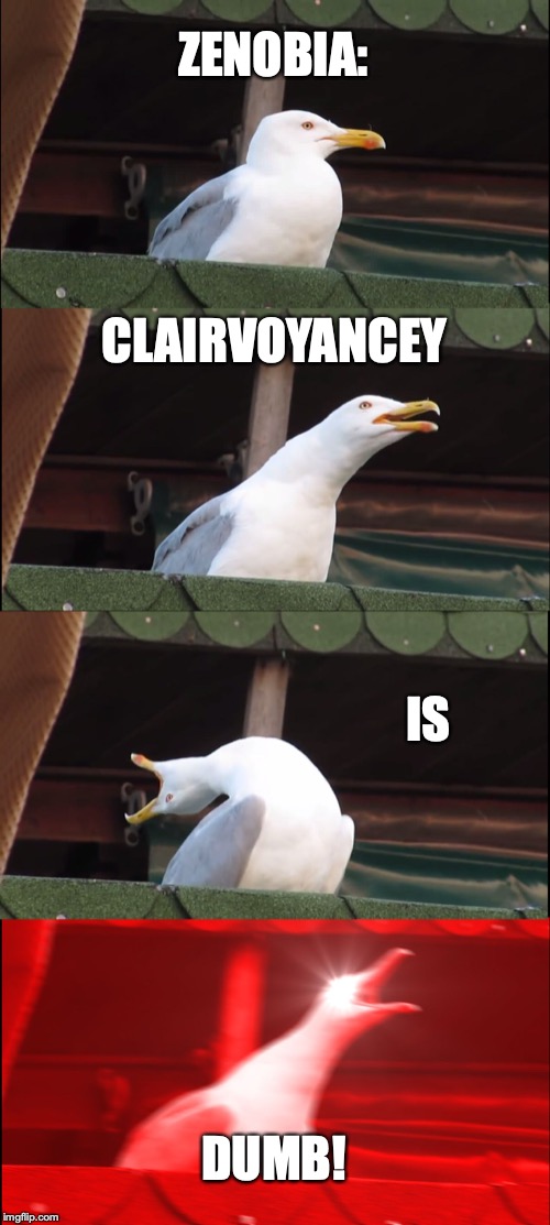 Inhaling Seagull | ZENOBIA:; CLAIRVOYANCEY; IS; DUMB! | image tagged in memes,inhaling seagull | made w/ Imgflip meme maker