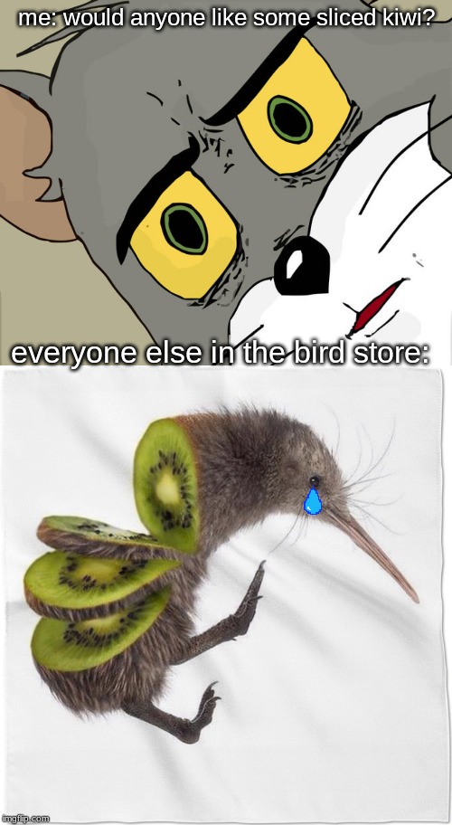 me: would anyone like some sliced kiwi? everyone else in the bird store: | image tagged in memes,unsettled tom | made w/ Imgflip meme maker