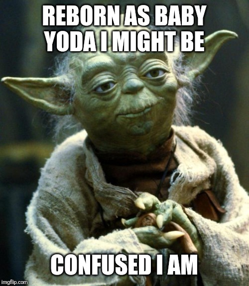 Star Wars Yoda Meme | REBORN AS BABY YODA I MIGHT BE; CONFUSED I AM | image tagged in memes,star wars yoda | made w/ Imgflip meme maker