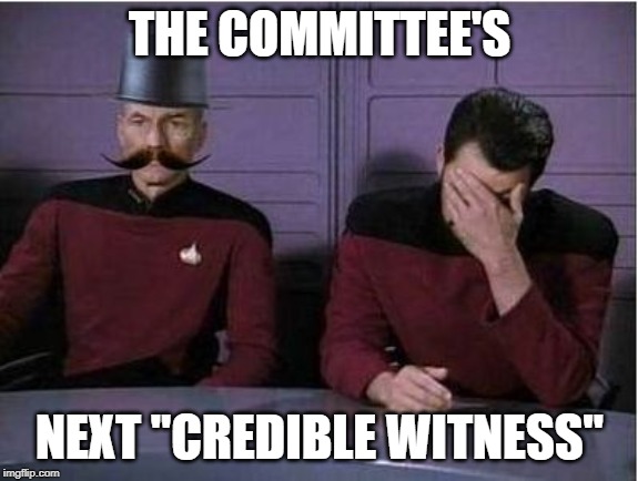 star trek hat, mustache and face palm | THE COMMITTEE'S; NEXT "CREDIBLE WITNESS" | image tagged in star trek hat mustache and face palm | made w/ Imgflip meme maker