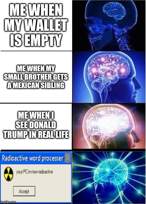 human that has had enough | ME WHEN MY WALLET IS EMPTY; ME WHEN MY SMALL BROTHER GETS A MEXICAN SIBLING; ME WHEN I SEE DONALD TRUMP IN REAL LIFE | image tagged in memes,expanding brain | made w/ Imgflip meme maker