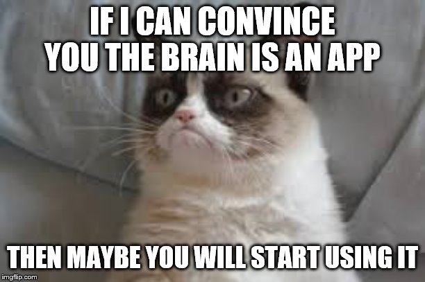 Grumpy cat | IF I CAN CONVINCE YOU THE BRAIN IS AN APP; THEN MAYBE YOU WILL START USING IT | image tagged in grumpy cat | made w/ Imgflip meme maker