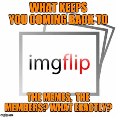 Imgflip | WHAT KEEPS YOU COMING BACK TO; THE MEMES,  THE MEMBERS? WHAT EXACTLY? | image tagged in imgflip | made w/ Imgflip meme maker