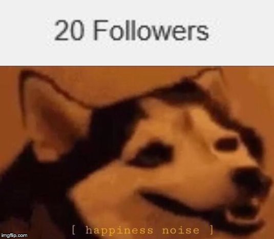 Thank you all for following me! | image tagged in happiness noise | made w/ Imgflip meme maker