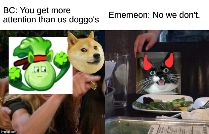 Just another day for cat's and dog's | BC: You get more attention than us doggo's; Ememeon: No we don't. | image tagged in memes,woman yelling at cat | made w/ Imgflip meme maker