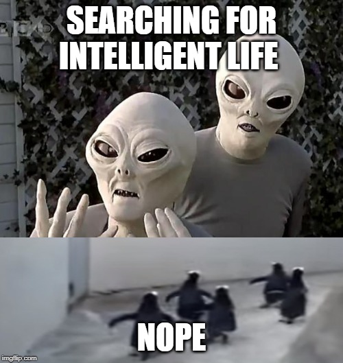 Aliens | SEARCHING FOR INTELLIGENT LIFE; NOPE | image tagged in aliens | made w/ Imgflip meme maker