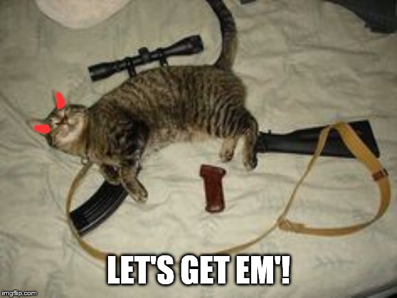 Cat Gun | LET'S GET EM'! | image tagged in cat gun | made w/ Imgflip meme maker