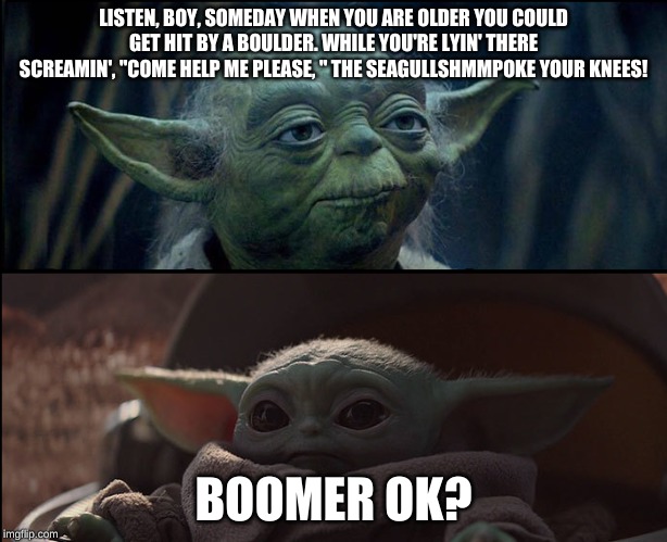 ok boomer | LISTEN, BOY, SOMEDAY WHEN YOU ARE OLDER YOU COULD GET HIT BY A BOULDER. WHILE YOU'RE LYIN' THERE SCREAMIN', "COME HELP ME PLEASE, " THE SEAGULLSHMMPOKE YOUR KNEES! BOOMER OK? | image tagged in ok boomer | made w/ Imgflip meme maker