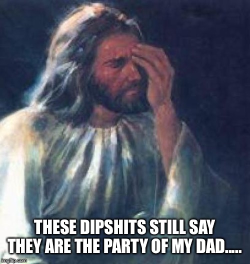 jesus facepalm | THESE DIPSHITS STILL SAY THEY ARE THE PARTY OF MY DAD..... | image tagged in jesus facepalm | made w/ Imgflip meme maker