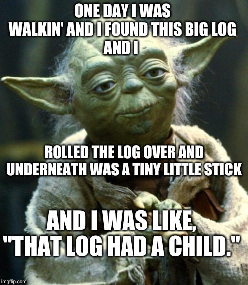 Star Wars Yoda Meme | ONE DAY I WAS WALKIN' AND I FOUND THIS BIG LOG
AND I; ROLLED THE LOG OVER AND UNDERNEATH WAS A TINY LITTLE STICK; AND I WAS LIKE, "THAT LOG HAD A CHILD." | image tagged in memes,star wars yoda | made w/ Imgflip meme maker
