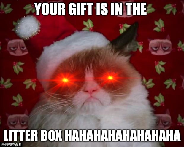 EWWWWWWWWW! | YOUR GIFT IS IN THE; LITTER BOX HAHAHAHAHAHAHAHA | image tagged in memes,and just like that,cats,grumpy cat | made w/ Imgflip meme maker