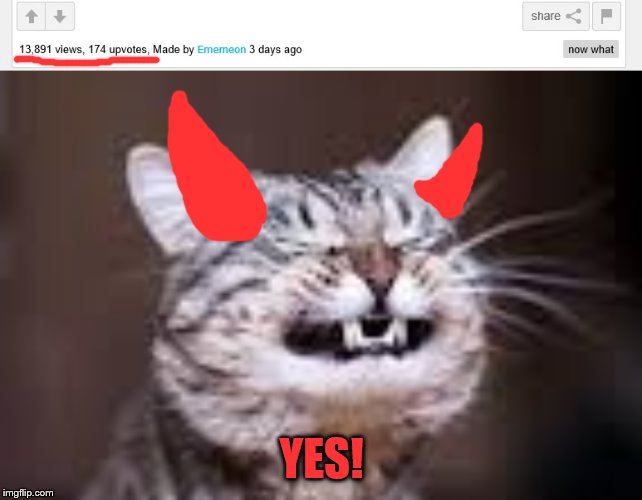 YES! | image tagged in smiling cat | made w/ Imgflip meme maker
