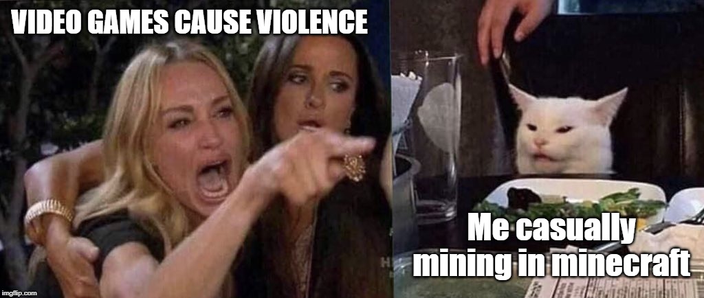 woman yelling at cat | VIDEO GAMES CAUSE VIOLENCE; Me casually mining in minecraft | image tagged in woman yelling at cat | made w/ Imgflip meme maker