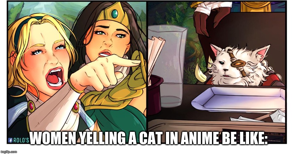 WOMEN YELLING A CAT IN ANIME BE LIKE: | made w/ Imgflip meme maker