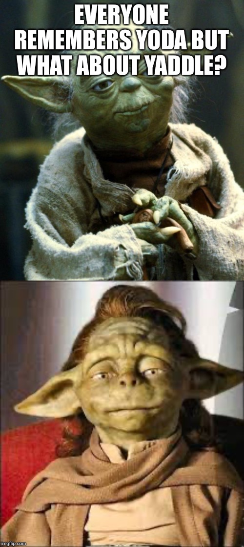 EVERYONE REMEMBERS YODA BUT WHAT ABOUT YADDLE? | image tagged in memes,star wars yoda | made w/ Imgflip meme maker