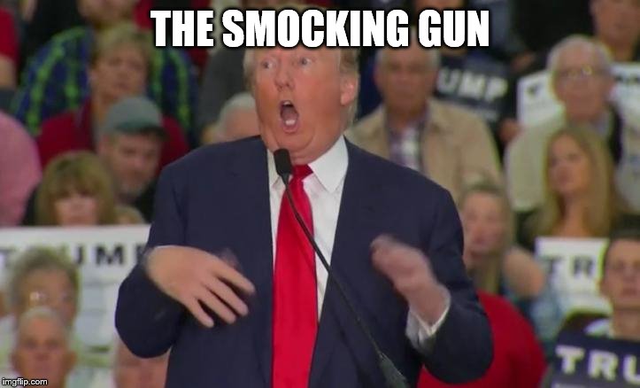 Donald Trump Mocking Disabled | THE SMOCKING GUN | image tagged in donald trump mocking disabled | made w/ Imgflip meme maker