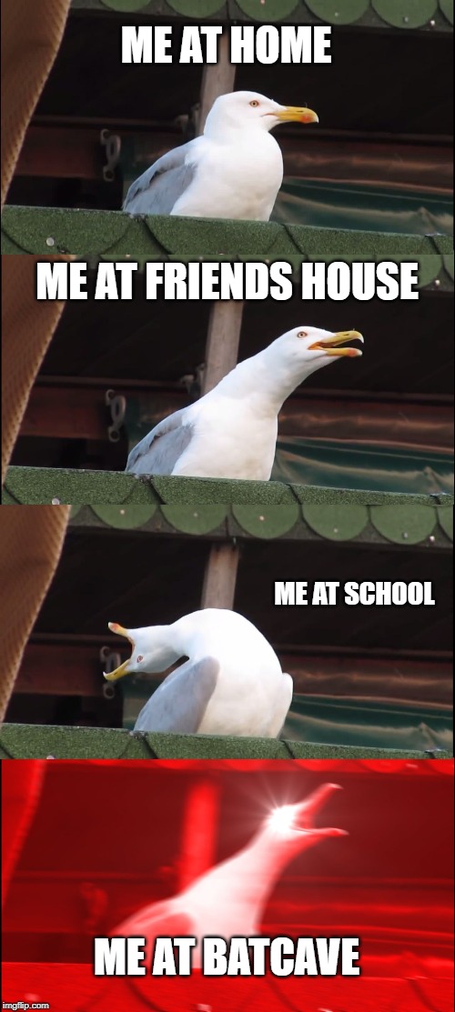 Inhaling Seagull Meme | ME AT HOME; ME AT FRIENDS HOUSE; ME AT SCHOOL; ME AT BATCAVE | image tagged in memes,inhaling seagull | made w/ Imgflip meme maker