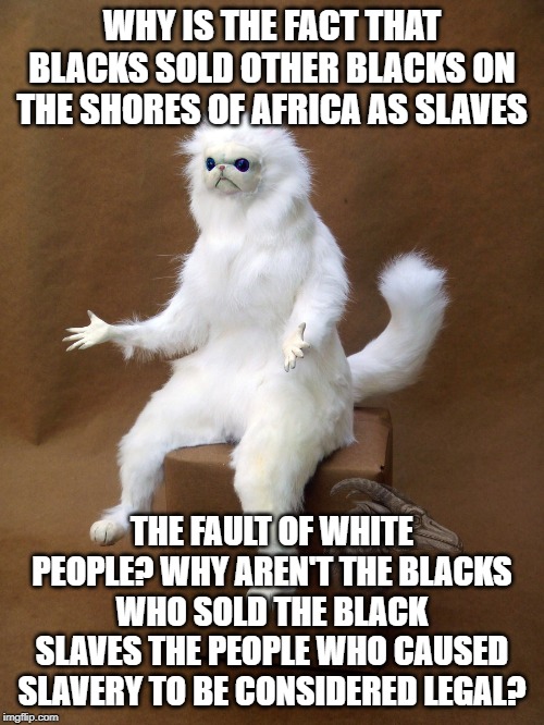 Persian Cat Room Guardian Single Meme | WHY IS THE FACT THAT BLACKS SOLD OTHER BLACKS ON THE SHORES OF AFRICA AS SLAVES; THE FAULT OF WHITE PEOPLE? WHY AREN'T THE BLACKS WHO SOLD THE BLACK SLAVES THE PEOPLE WHO CAUSED SLAVERY TO BE CONSIDERED LEGAL? | image tagged in memes,persian cat room guardian single | made w/ Imgflip meme maker