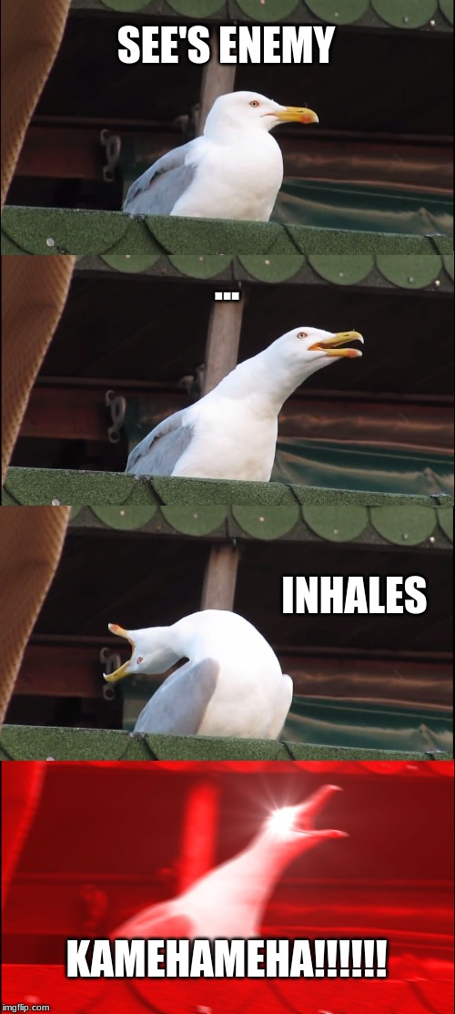 Another Seagull Meme | SEE'S ENEMY; ... INHALES; KAMEHAMEHA!!!!!! | image tagged in memes,inhaling seagull,funny,dragon ball z,funny memes | made w/ Imgflip meme maker