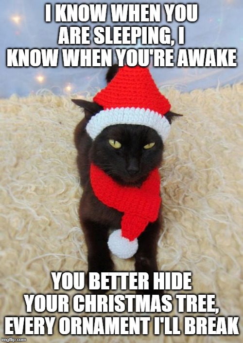 Cat in Santa Hat | I KNOW WHEN YOU ARE SLEEPING, I KNOW WHEN YOU'RE AWAKE; YOU BETTER HIDE YOUR CHRISTMAS TREE, EVERY ORNAMENT I'LL BREAK | image tagged in cats,santa | made w/ Imgflip meme maker