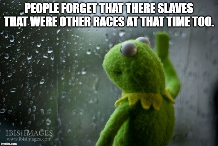 kermit window | PEOPLE FORGET THAT THERE SLAVES THAT WERE OTHER RACES AT THAT TIME TOO. | image tagged in kermit window | made w/ Imgflip meme maker