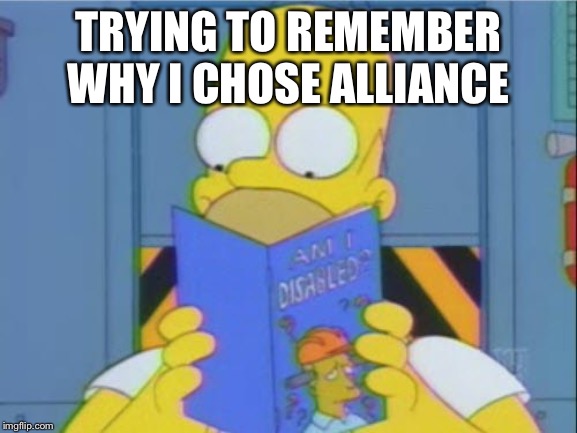 Alliance | TRYING TO REMEMBER WHY I CHOSE ALLIANCE | image tagged in world of warcraft,wow | made w/ Imgflip meme maker