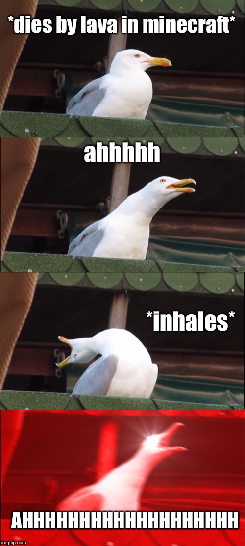 Inhaling Seagull | *dies by lava in minecraft*; ahhhhh; *inhales*; AHHHHHHHHHHHHHHHHHHH | image tagged in memes,inhaling seagull | made w/ Imgflip meme maker