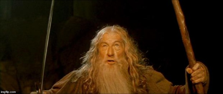 gandalf you shall not pass | image tagged in gandalf you shall not pass | made w/ Imgflip meme maker