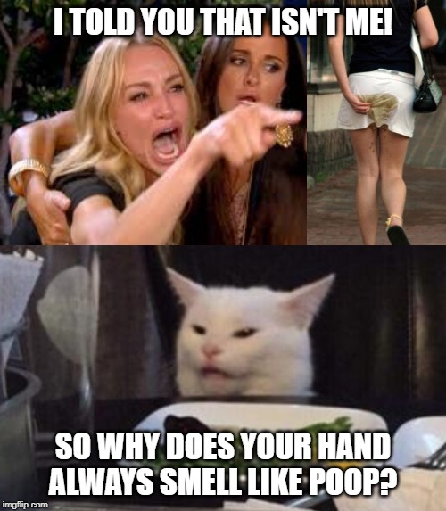 I TOLD YOU THAT ISN'T ME! SO WHY DOES YOUR HAND ALWAYS SMELL LIKE POOP? | image tagged in never trust a fart,cat,woman yelling at cat,memes | made w/ Imgflip meme maker