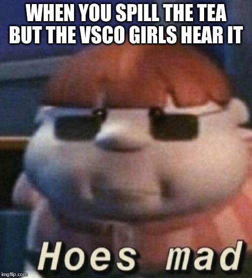 Vsco Girl Meme Funny