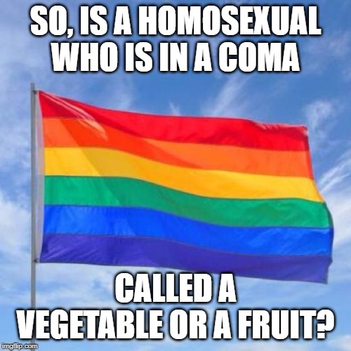 Good Question | SO, IS A HOMOSEXUAL WHO IS IN A COMA; CALLED A VEGETABLE OR A FRUIT? | image tagged in gay pride flag | made w/ Imgflip meme maker