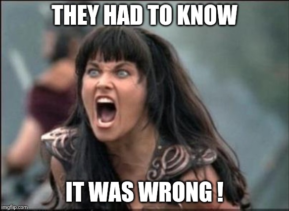 Angry Xena | THEY HAD TO KNOW IT WAS WRONG ! | image tagged in angry xena | made w/ Imgflip meme maker