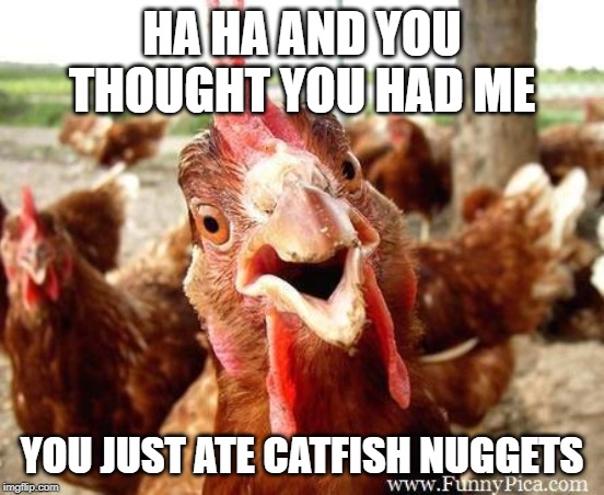 Chicken | HA HA AND YOU THOUGHT YOU HAD ME YOU JUST ATE CATFISH NUGGETS | image tagged in chicken | made w/ Imgflip meme maker