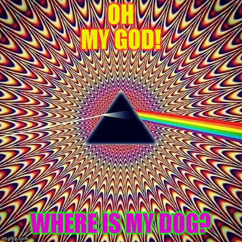 favorite psychedelic Popular Memes | OH
MY GOD! WHERE IS MY DOG? | image tagged in favorite psychedelic popular memes | made w/ Imgflip meme maker