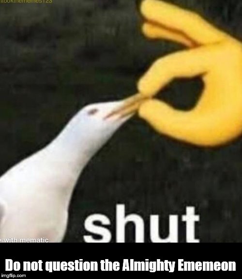 Shut Gull | Do not question the Almighty Ememeon | image tagged in shut gull | made w/ Imgflip meme maker