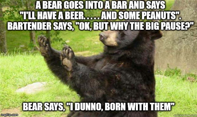 How about no bear | A BEAR GOES INTO A BAR AND SAYS "I'LL HAVE A BEER. . . . . AND SOME PEANUTS". BARTENDER SAYS, "OK, BUT WHY THE BIG PAUSE?"; BEAR SAYS, "I DUNNO, BORN WITH THEM" | image tagged in how about no bear | made w/ Imgflip meme maker