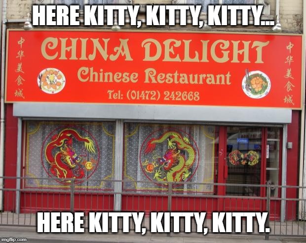 Chinese food | HERE KITTY, KITTY, KITTY... HERE KITTY, KITTY, KITTY. | image tagged in chinese food | made w/ Imgflip meme maker