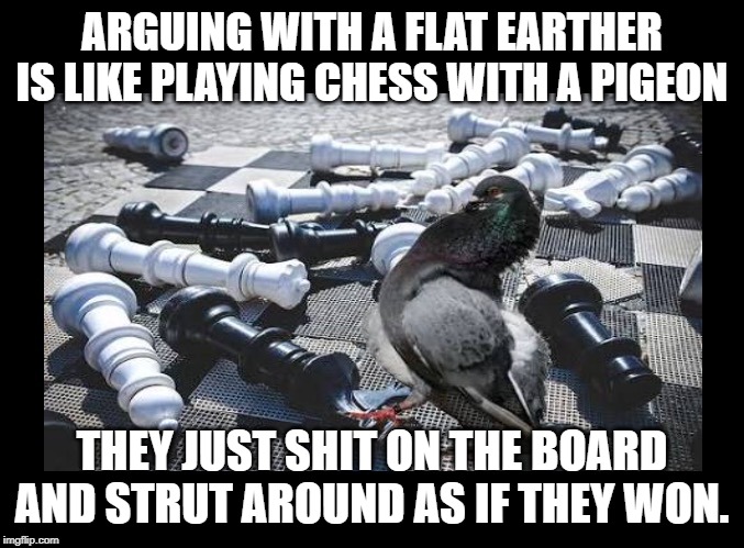 Pigeon Chess Blank | ARGUING WITH A FLAT EARTHER IS LIKE PLAYING CHESS WITH A PIGEON; THEY JUST SHIT ON THE BOARD AND STRUT AROUND AS IF THEY WON. | image tagged in pigeon chess blank | made w/ Imgflip meme maker