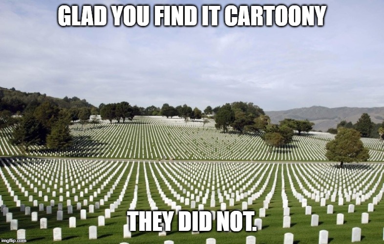 Arlington National Cemetery | GLAD YOU FIND IT CARTOONY THEY DID NOT. | image tagged in arlington national cemetery | made w/ Imgflip meme maker