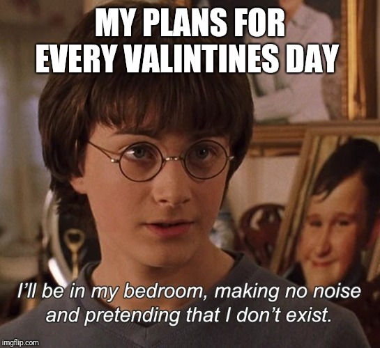 Harry Potter | MY PLANS FOR EVERY VALINTINES DAY | image tagged in harry potter | made w/ Imgflip meme maker