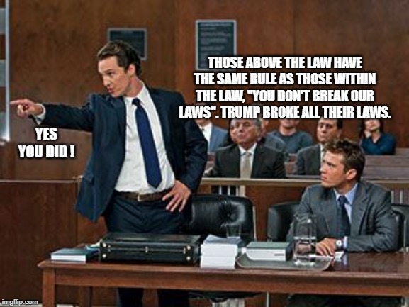 lawyer | THOSE ABOVE THE LAW HAVE THE SAME RULE AS THOSE WITHIN THE LAW, "YOU DON'T BREAK OUR LAWS". TRUMP BROKE ALL THEIR LAWS. YES YOU DID ! | image tagged in lawyer | made w/ Imgflip meme maker